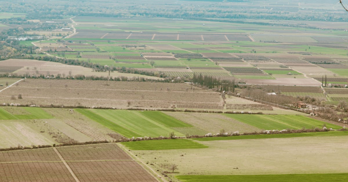 Aerial view showcasing vast farmlands with mountains in the background.
